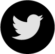 twitter icon
